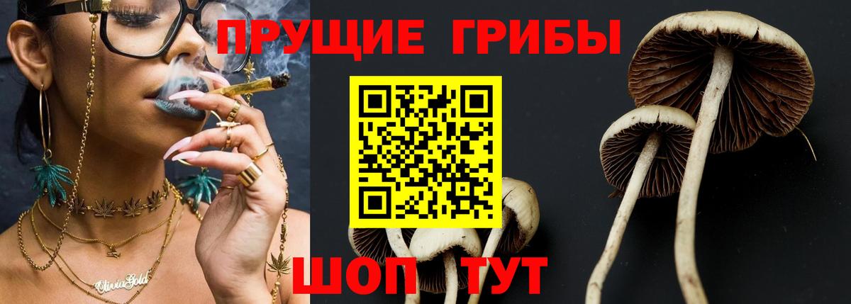 Галлюциногенные грибы прущие грибы  Вход с VPN  Переславль-Залесский  Галлюциногенные грибы Magic Shrooms 
