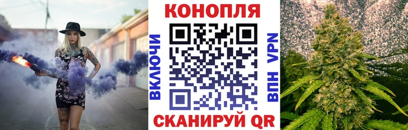 наркота Переславль-Залесский Каннабис OG Kush